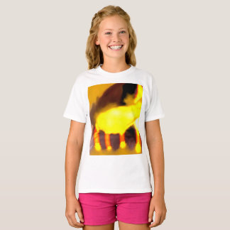 Creation of the dragon cat t shirt