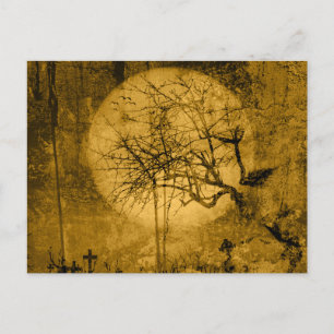 Creepy Antique Tittar Gult Cemetery Halloween Helg Vykort
