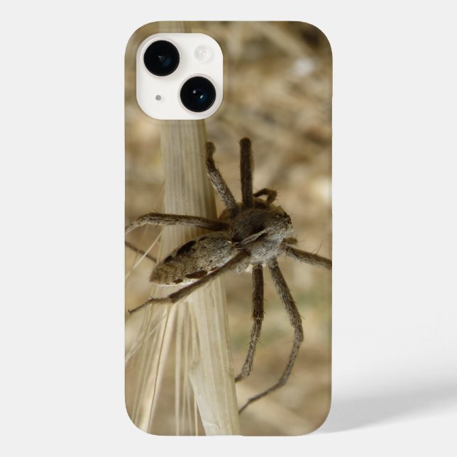 Creepy Crawly Spider (Baksida)