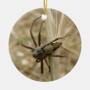 Creepy Crawly Spider Anpassningsbar Birthday Julgransprydnad Keramik
