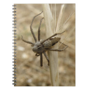 Creepy Crawly Spider bärbar dator Anteckningsbok Med Spiral