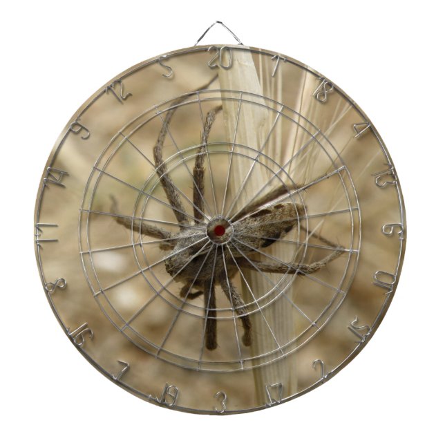 Creepy Crawly Spider Dart Board Piltavla (Framsidan)