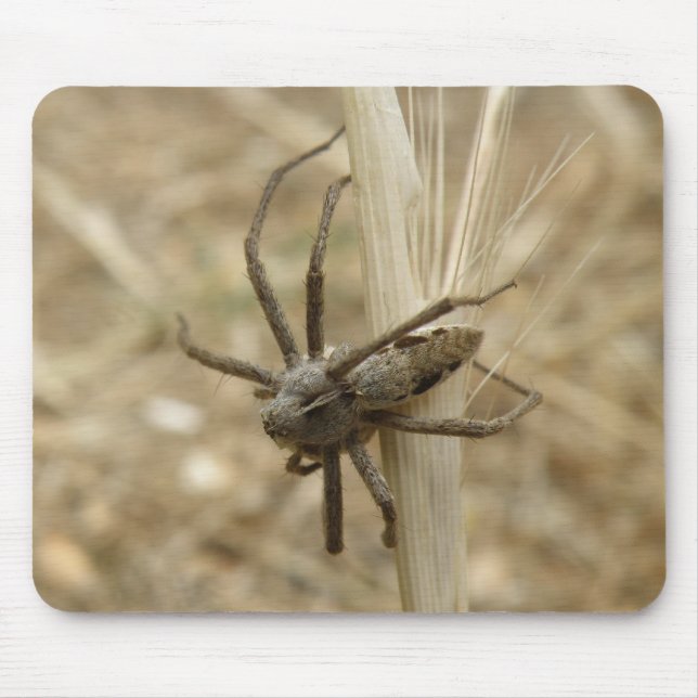 Creepy Crawly Spider Mousepad Musmatta (Framsidan)