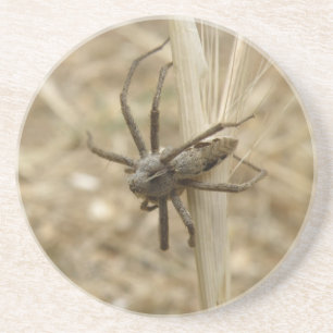 Creepy Crawly Spider Underlägg