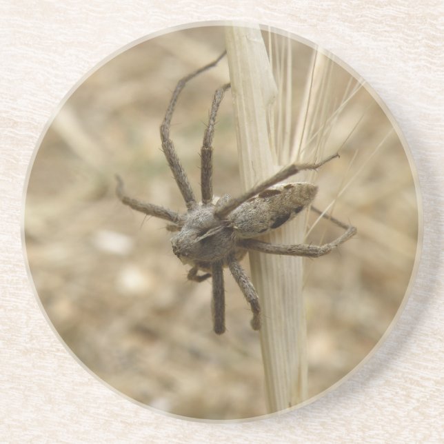 Creepy Crawly Spider Underlägg (Framsidan)