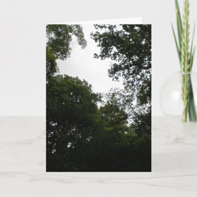 Creepy Forest Greeting Card Kort (Framsida)