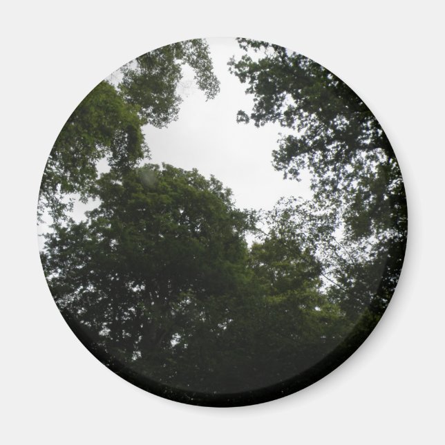 Creepy Forest Magnet (Framsidan)