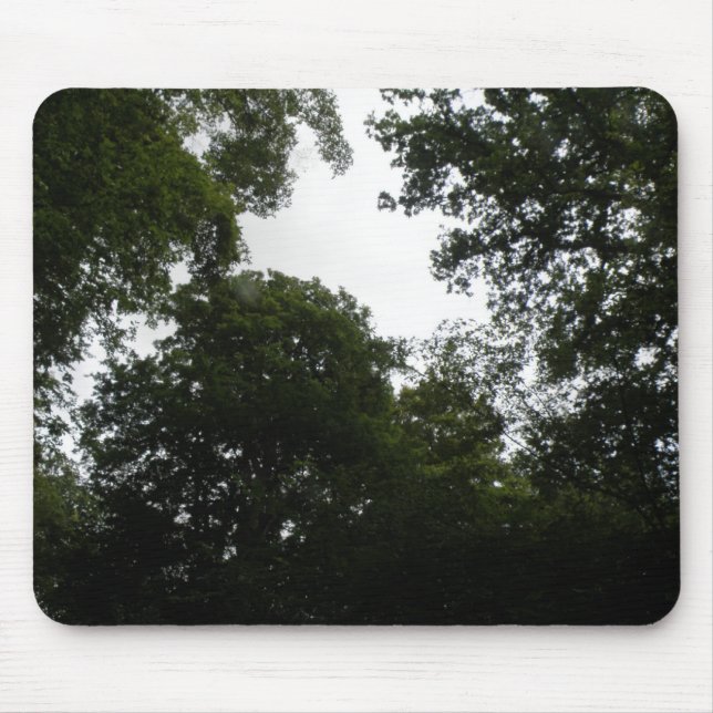 Creepy Forest Mousepad Musmatta (Framsidan)