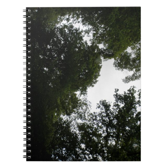 Creepy Forest Notebook Anteckningsbok (Framsidan)