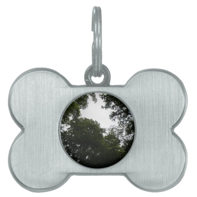 Creepy Forest Pet-tagg ID-bricka Husdjur (Framsidan)