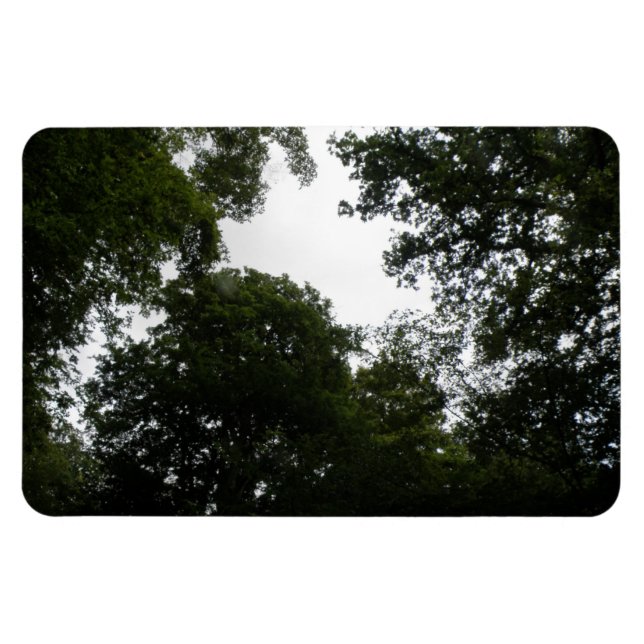 Creepy Forest Premium Magnet (Horisontell)