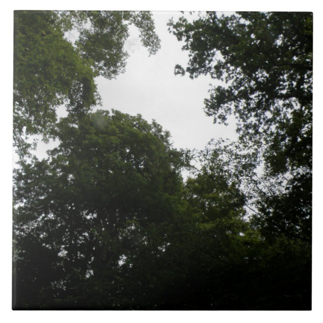 Creepy Forest Tile Kakelplatta (Framsidan)