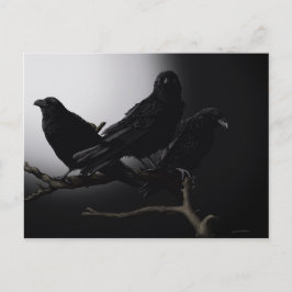 Creepy Ravens in Moonlight Postcard Vykort