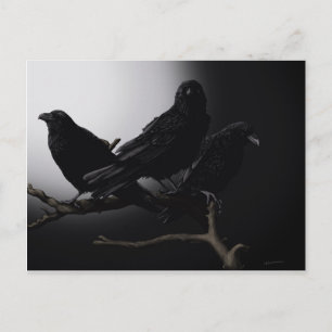 Creepy Ravens in Moonlight Postcard Vykort