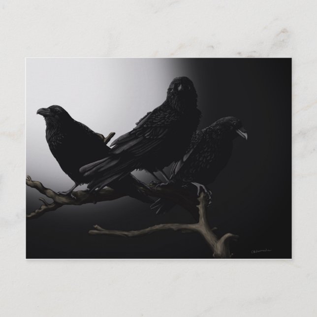 Creepy Ravens in Moonlight Postcard Vykort (Framsida)