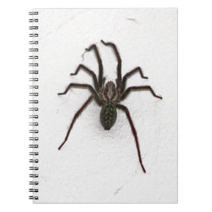 Creepy Spider Anteckningsbok Med Spiral