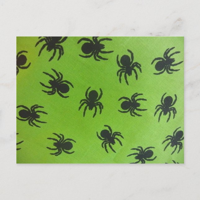 Creepy Spiders Vykort (Framsida)