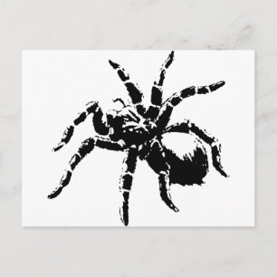 Creepy Tarantula Design Vykort
