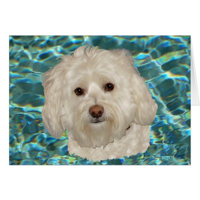 Crème Havanese med Turkos Vatten Hälsningskort (Framsidan Horizontal)