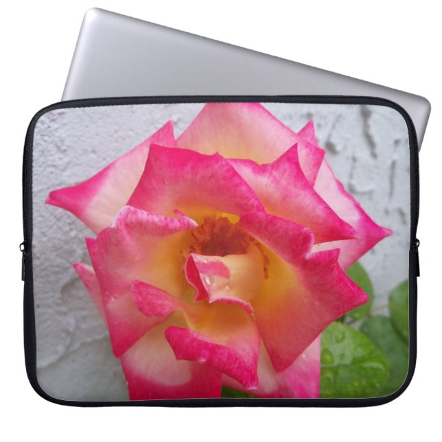 Crème och rosa Dick Clark Rose på ett laptopsleeve Laptop Fodral (Framsidan)