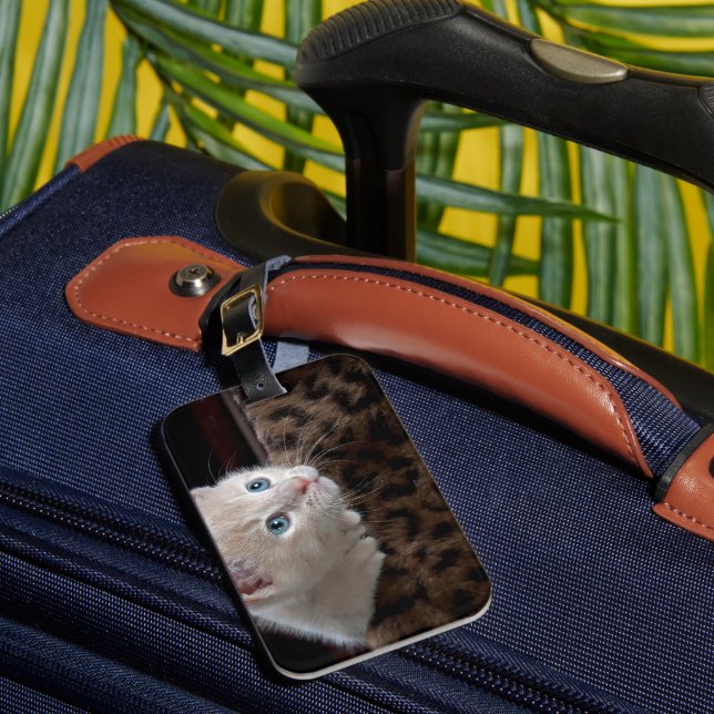 Crèmefärgad kattunge med vackra blå ögon bagagebricka (Framsida Insitu 1)
