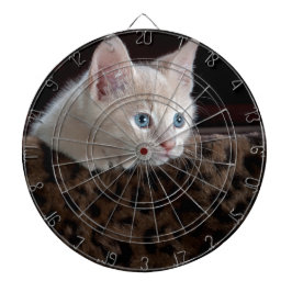 Crèmefärgad kattunge med vackra blå ögon darttavla