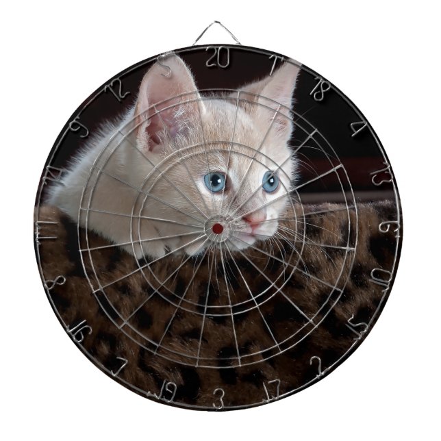 Crèmefärgad kattunge med vackra blå ögon darttavla (Framsidan)