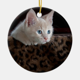 Crèmefärgad kattunge med vackra blå ögon julgransprydnad keramik