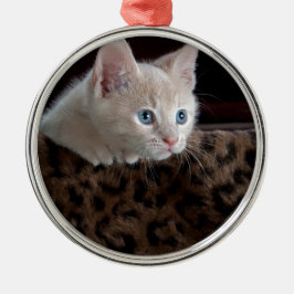 Crèmefärgad kattunge med vackra blå ögon julgransprydnad metall