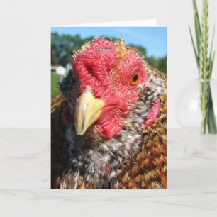 Creole Påsk Egger Tupp Helgkort