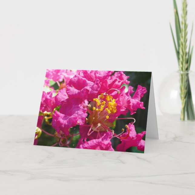 "Crepe Myrtle 1." Mottagningskort Kort (Framsida)