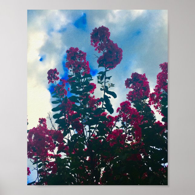 crepe myrtle on a cloudy day poster (Framsidan)
