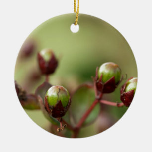 Crepe Myrtle Seed Pods Julgransprydnad Keramik