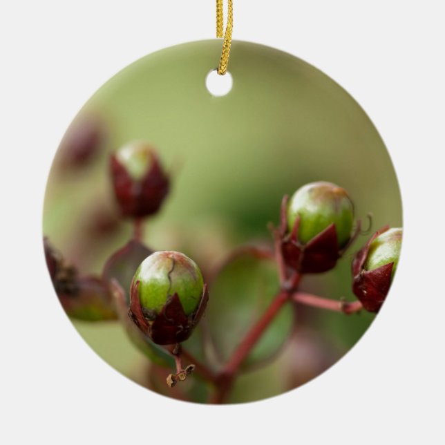 Crepe Myrtle Seed Pods Julgransprydnad Keramik (Framsidan)