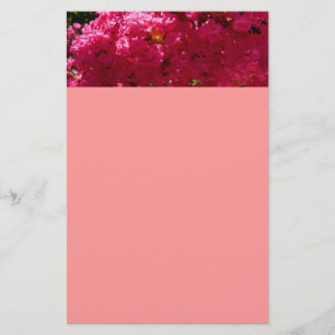 Crepe Myrtle Träd Magenta Blommigt Brevpapper