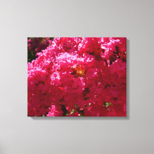 Crepe Myrtle Träd Magenta Blommigt Canvastryck