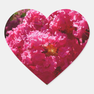 Crepe Myrtle Träd Magenta Blommigt Hjärtformat Klistermärke