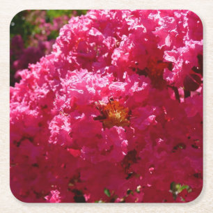 Crepe Myrtle Träd Magenta Blommigt Underlägg Papper Kvadrat