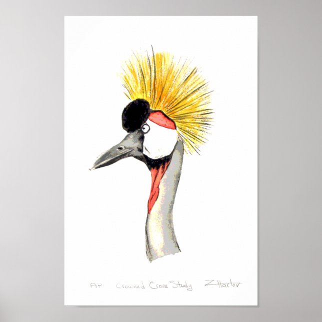 Crested Crane Poster (Framsidan)