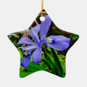 Crested Dwarf Iris Julgransprydnad Keramik