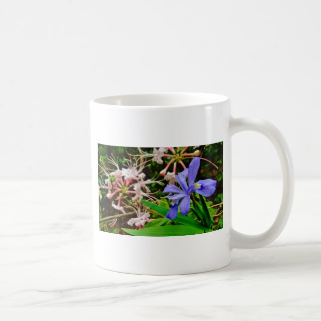 Crested Dwarf Iris Kaffemugg (Höger)