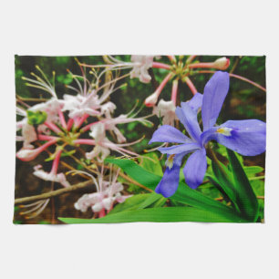 Crested Dwarf Iris Kökshandduk