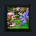 Crested Dwarf Iris Minnesask<br><div class="desc">Fläktade Dwarf Iris vid Sjö Arrowhad-trail Foto av Sandy Closs medan han gick i maj. Vacker,  färglös blå lila Vild Iris växer på skogen nära detta klarblåa norra Georgien sjö. Blommor,  blommigt,  vilda blommor,  bröllop,  sympati,  födelsedag,  mors dag lavender white</div>