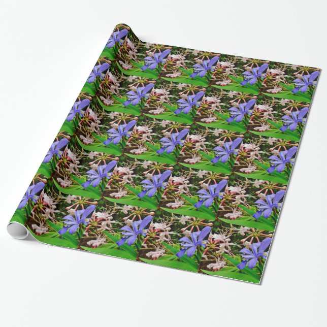 Crested Dwarf Iris Presentpapper (Utrullad)