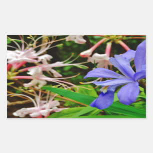 Crested Dwarf Iris Rektangulärt Klistermärke