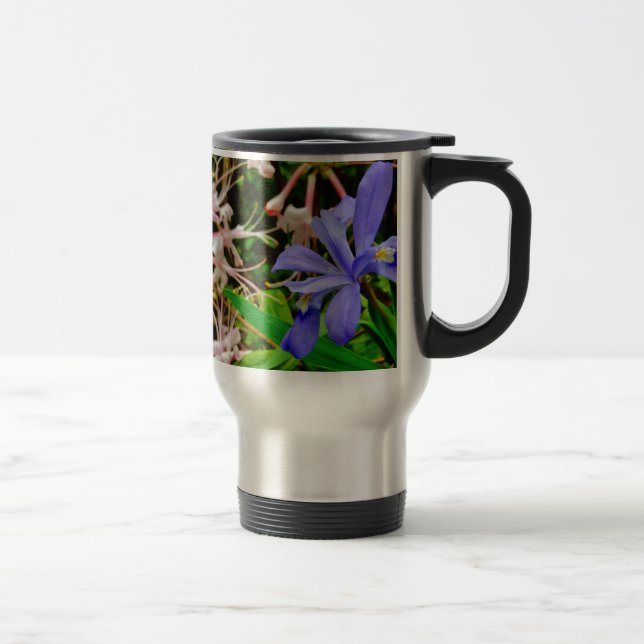 Crested Dwarf Iris Resemugg (Höger)