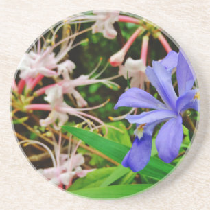 Crested Dwarf Iris Underlägg Sandsten