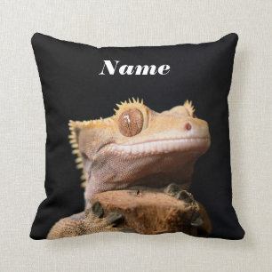 Crested Gecko Lizard på svart Kudde