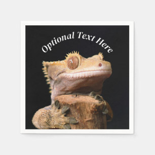 Crested Gecko Lizard på svart Pappersservett
