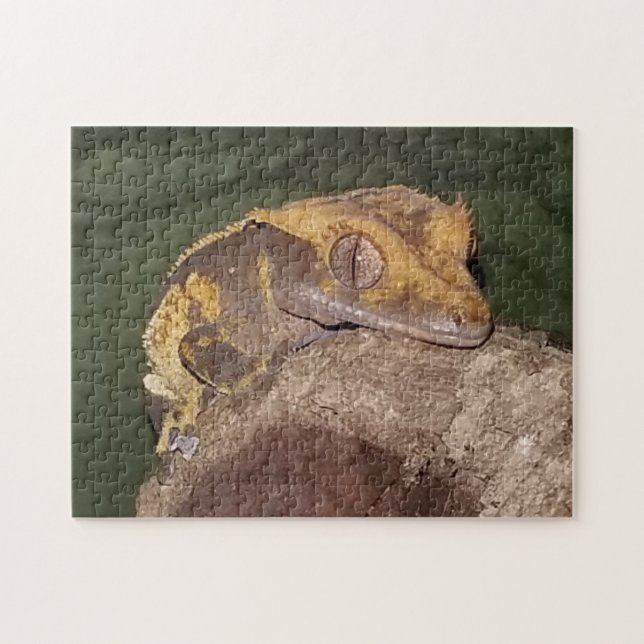 Crested Gecko Puzzle Pussel (Horisontell)